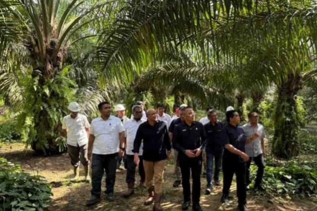 Dulu Dianggap Sebelah Mata, Kini Kebun Tanah Putih jadi Mutiara PTPN IV Regional III