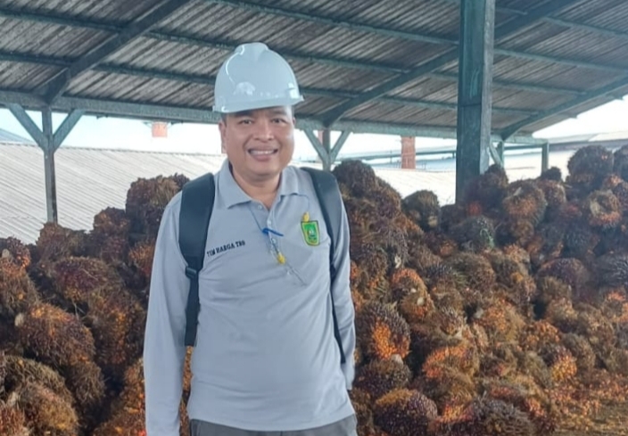 Harga TBS Sawit Mitra Plasma Riau Turun, Tertinggi Umur Sembilan Tahun