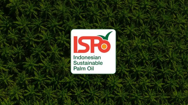 Petani Sawit yang Sudah Kantongi ISPO Bakal Lebih Mudah Akses Bantuan Pemerintah