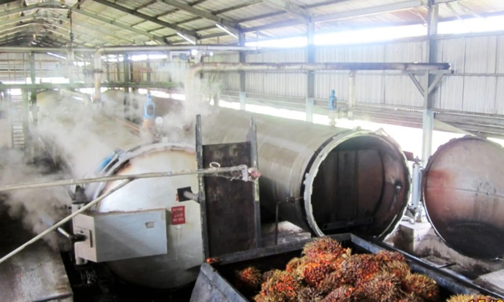 Data BPS, Industri Sawit Pendorong Utama Perdagangan Ekspor Indonesia April 2025