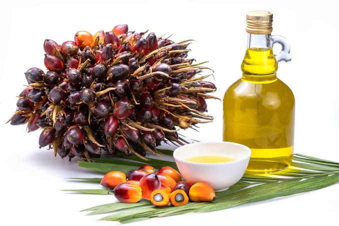 Membaiknya Harga CPO Dongkrak Penjualan Kelapa Sawit Sumbar