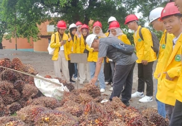 Mahasiswa Pertanian Unilak Belajar Industri Sawit Berkelanjutan dii PTPN IV
