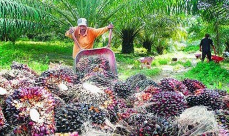 SPSI Suarakan Upah Naker Sektor Persawitan, Nursal: Mereka Butuh Hidup Layak