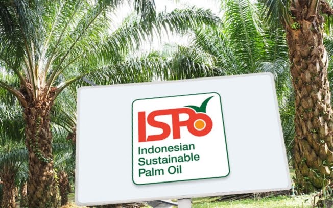 ISPO Kunci Utama Perkuat Daya Saing Sawit Indonesia di Pasar Global