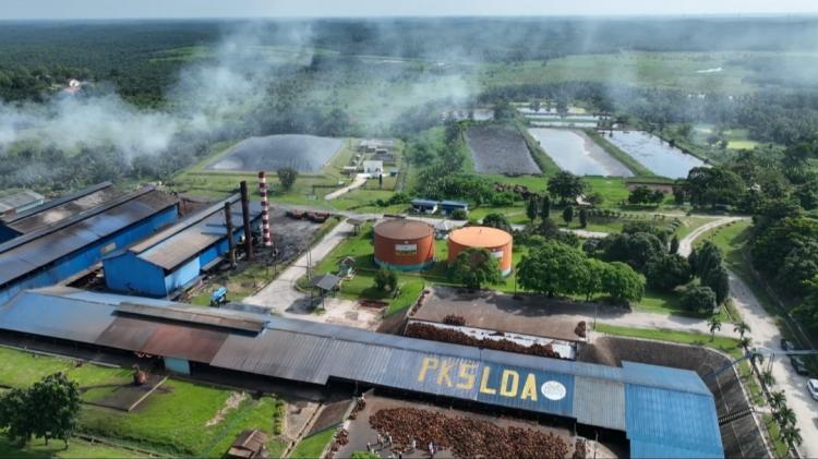 Kenapa Utilisasi Industri Sawit Indonesia Masih Rendah, Ini Penyebabnya Menurut Kemenperin!