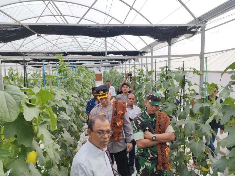 Terapkan Teknologi Digital, Petani Milenial Waturaka Berhasil Panen Perdana Melon Varietas Alisa F1