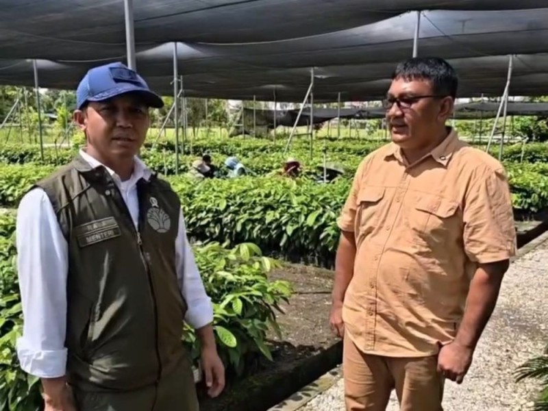 Pemerintah Siapkan Beragam Bibit Pohon untuk Rehabilitasi Lahan Bekas Sawit di Tesso Nilo