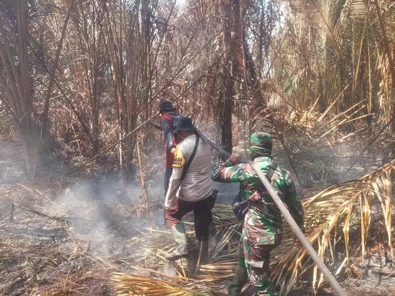 Jumlah Hotspot di Pulau Sumatera Menurun, dari Ribuan Kini Tinggal 451 Titik Api