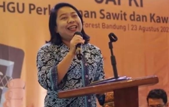 Peneliti UI : Tumpang Tindih Regulasi Sawit Ancam Devisa dan Boomerang bagi Perekonomian Nasional