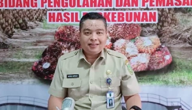 Turun Lagi, TBS Sawit Mitra Plasma di Riau Periode Ini Dihargai Rp3.451 per Kilogram