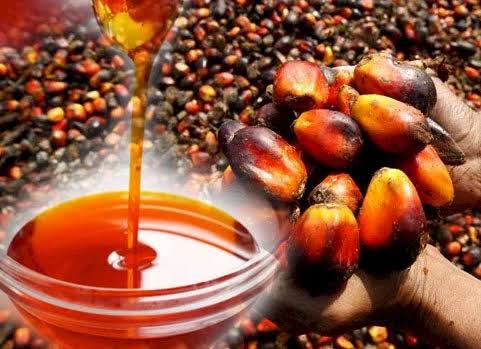 Hampir Semua Pelabuhan, Harga CPO Hasil Tender PT KPBN Naik Rp50