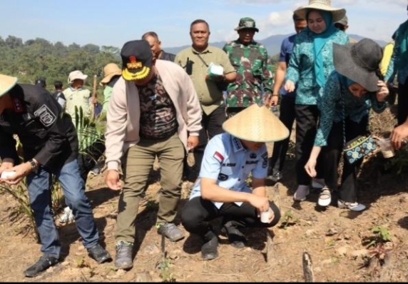 Jaga Stabilitas Pangan, Pemkab Konut Tanam Serentak Padi Gogo Ditumpang Sari dengan Sawit dan Nilam