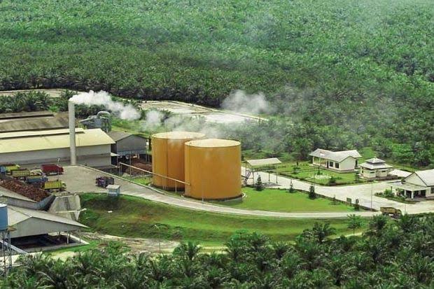 Angin Segar bagi Petani, Investor akan Bangun Pabrik Sawit Teknologi SPOT di Lebak