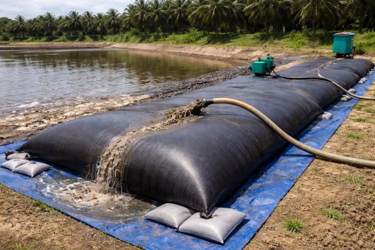 Wow..Teknologi Baru Ini Bisa Ubah Kolam Limbah Sawit Mendangkal Jadi Cuan