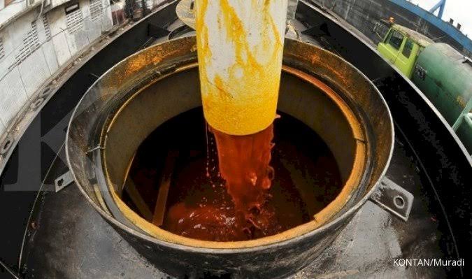 Pelabuhan Belawan Buat Harga CPO Tender PT KPBN Naik, Dumai dan Talang Duku Withdraw