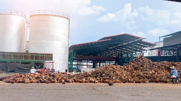 Setelah Negosiasi Panjang, Eropa Melunak Soal Produk Sawit Cs