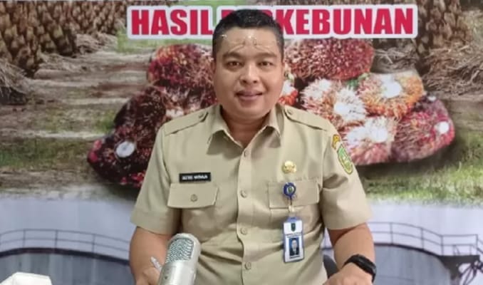Harga TBS Kelapa Sawit Mitra Plasma di Riau Naik, Tertinggi Umur Sembilan Tahun