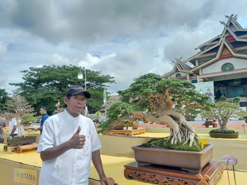 Bentuk Tegak Meliuk, Bonsai Sancang Milik Pakde Sugeng Dihargai Satu Unit Avanza