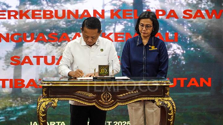 Alasan Satgas PKH Belum Bisa Tagih Denda Administratif Perusahaan Penanam Sawit di Hutan