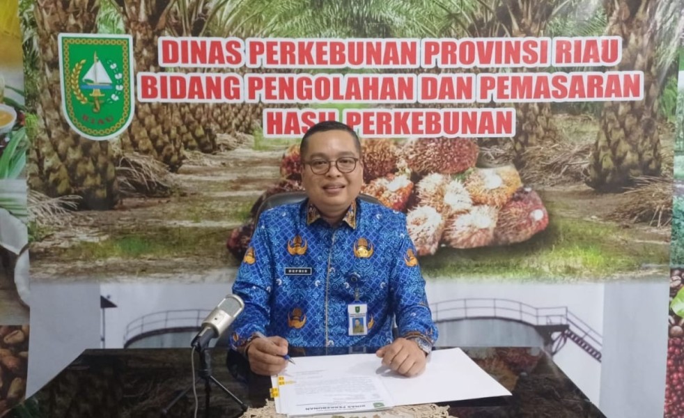 Jelang Penutupan Tahun 2025, Harga CPO di Riau Stabil